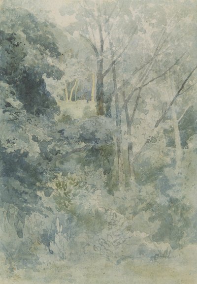 In Rokeby Park by John Sell Cotman